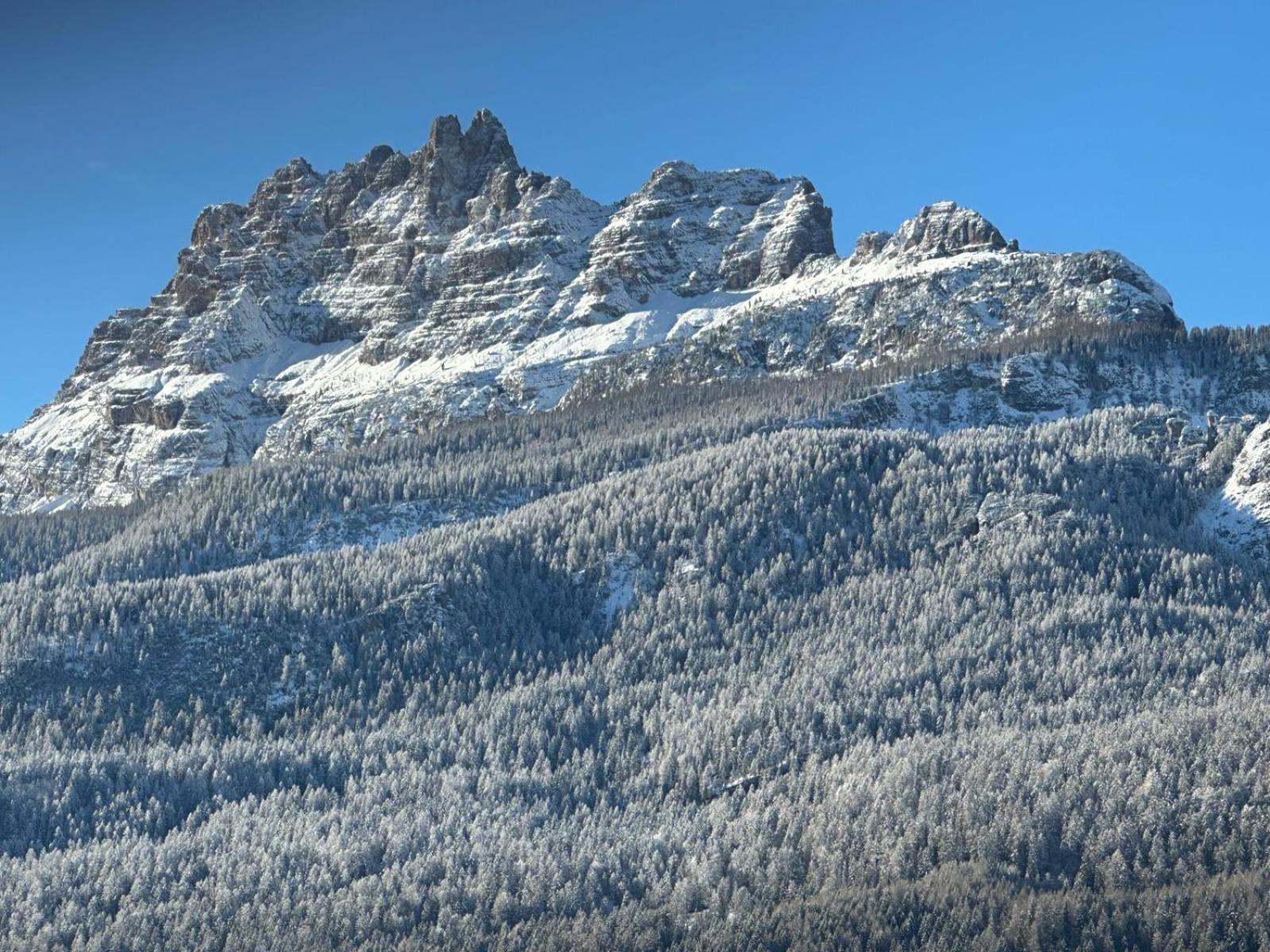 Hotel Serena Cortina Cortina dʼAmpezzo Exterior foto